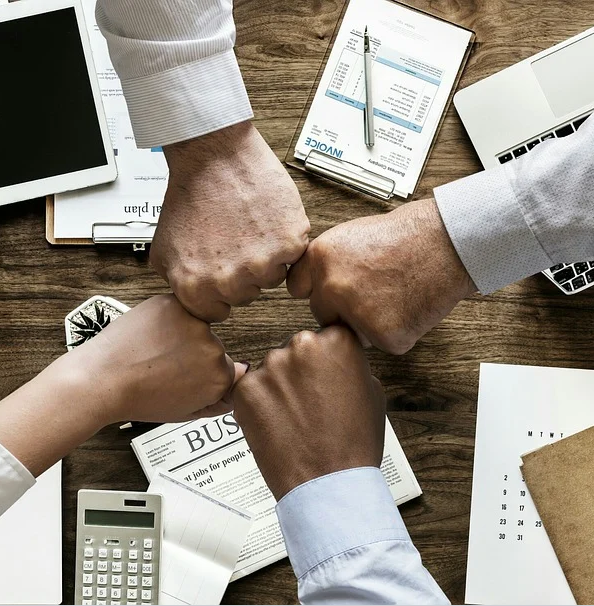 Immigration Consultants